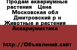 Продам аквариумные растения › Цена ­ 100 - Московская обл., Дмитровский р-н Животные и растения » Аквариумистика   
